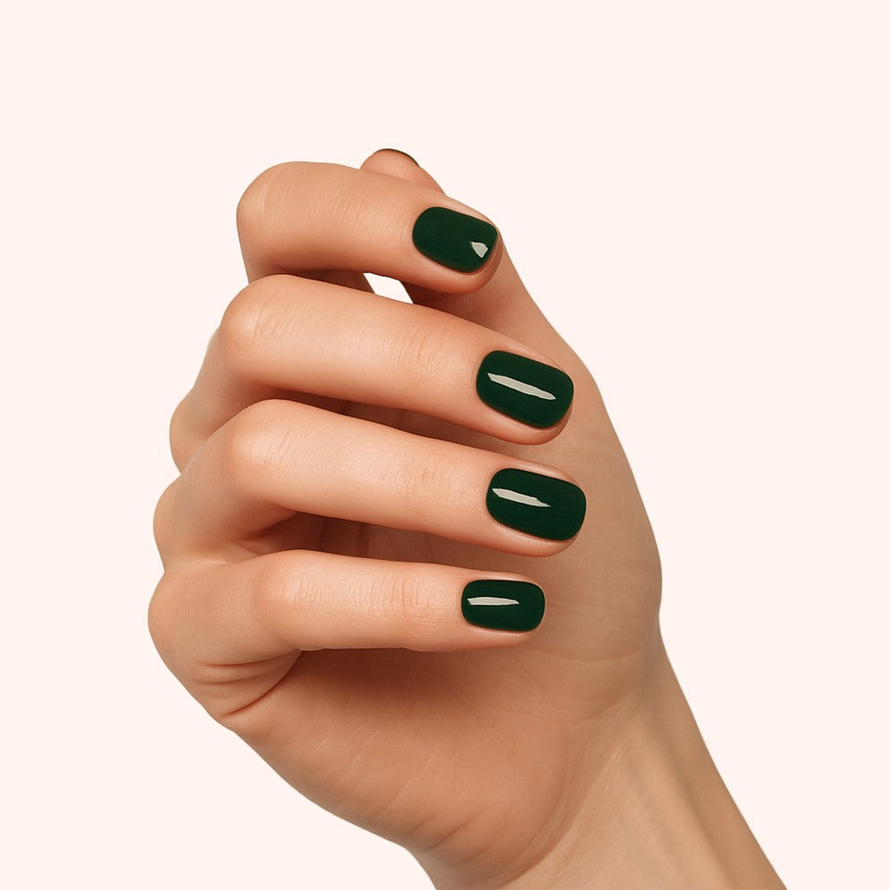 dunkelgrünen shellac