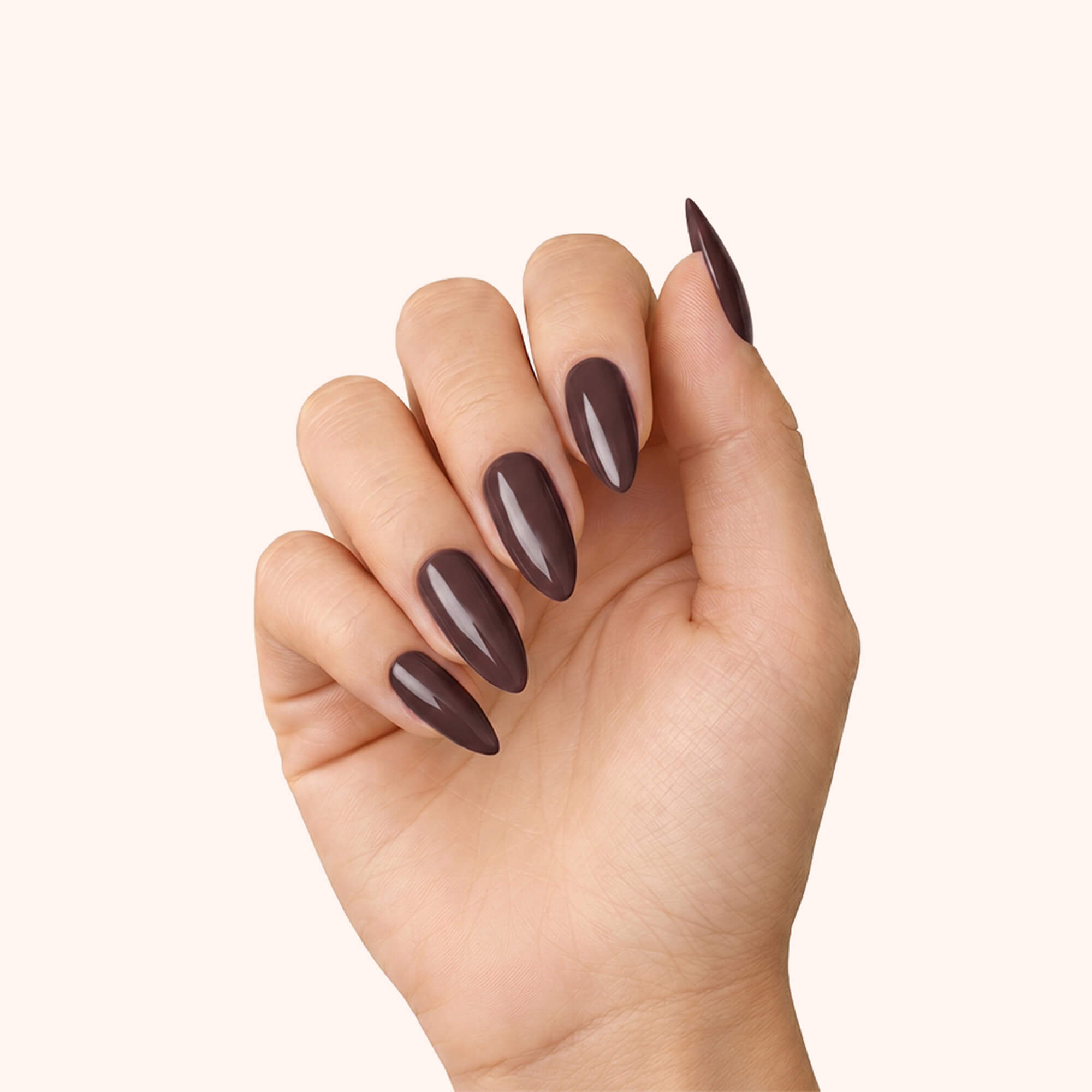 Gel Polish Shellac Mocha braun