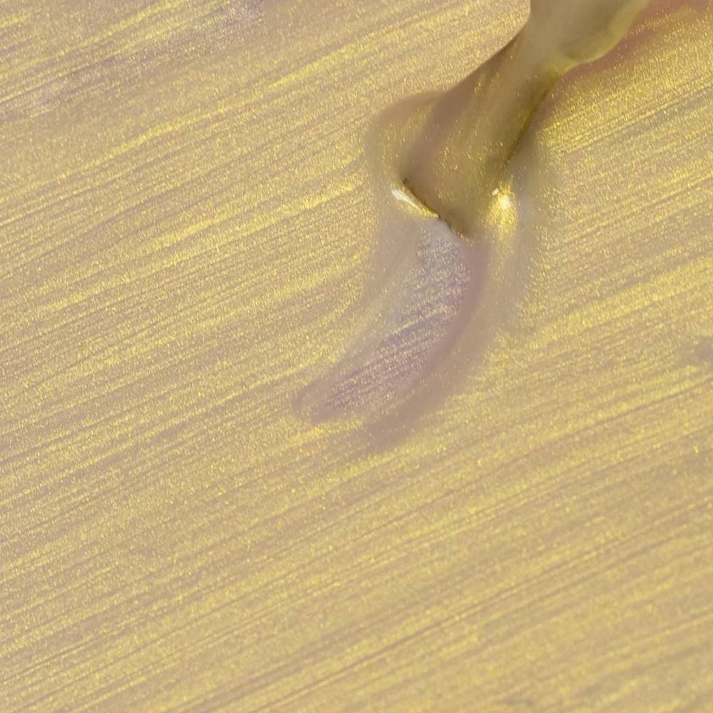 Gel Polish Shellac Seashell Sunflower