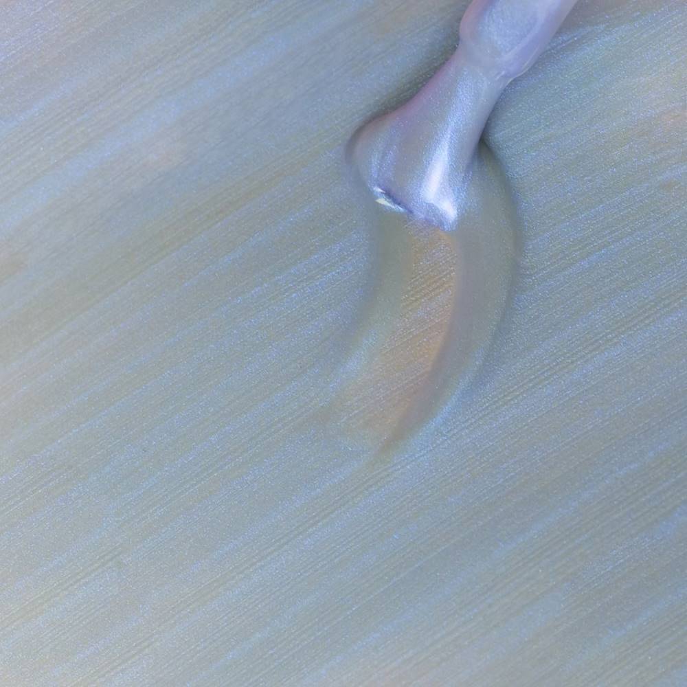 Gel Polish Shellac Seashell Hortensia