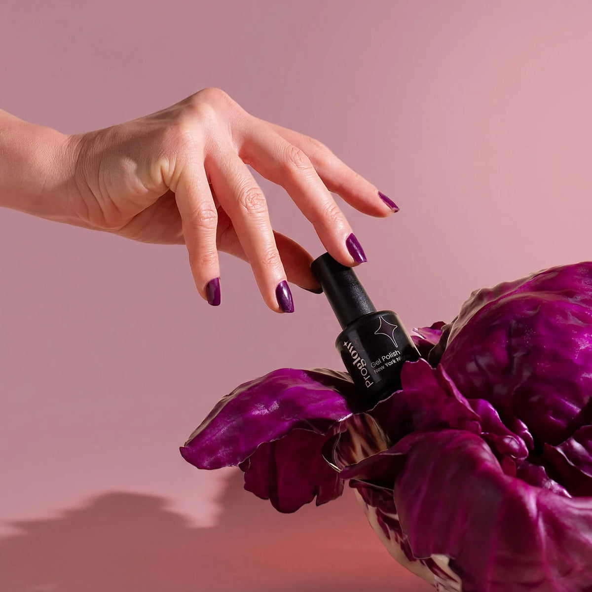 Maniküre Trends Violett Herbst 2026