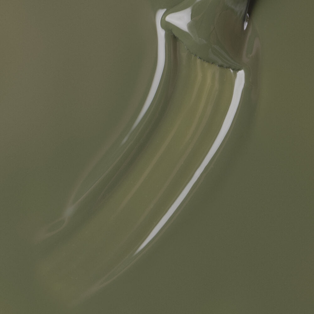 Gel Polish Shellac 3-in-1 No Wipe Forest Moss