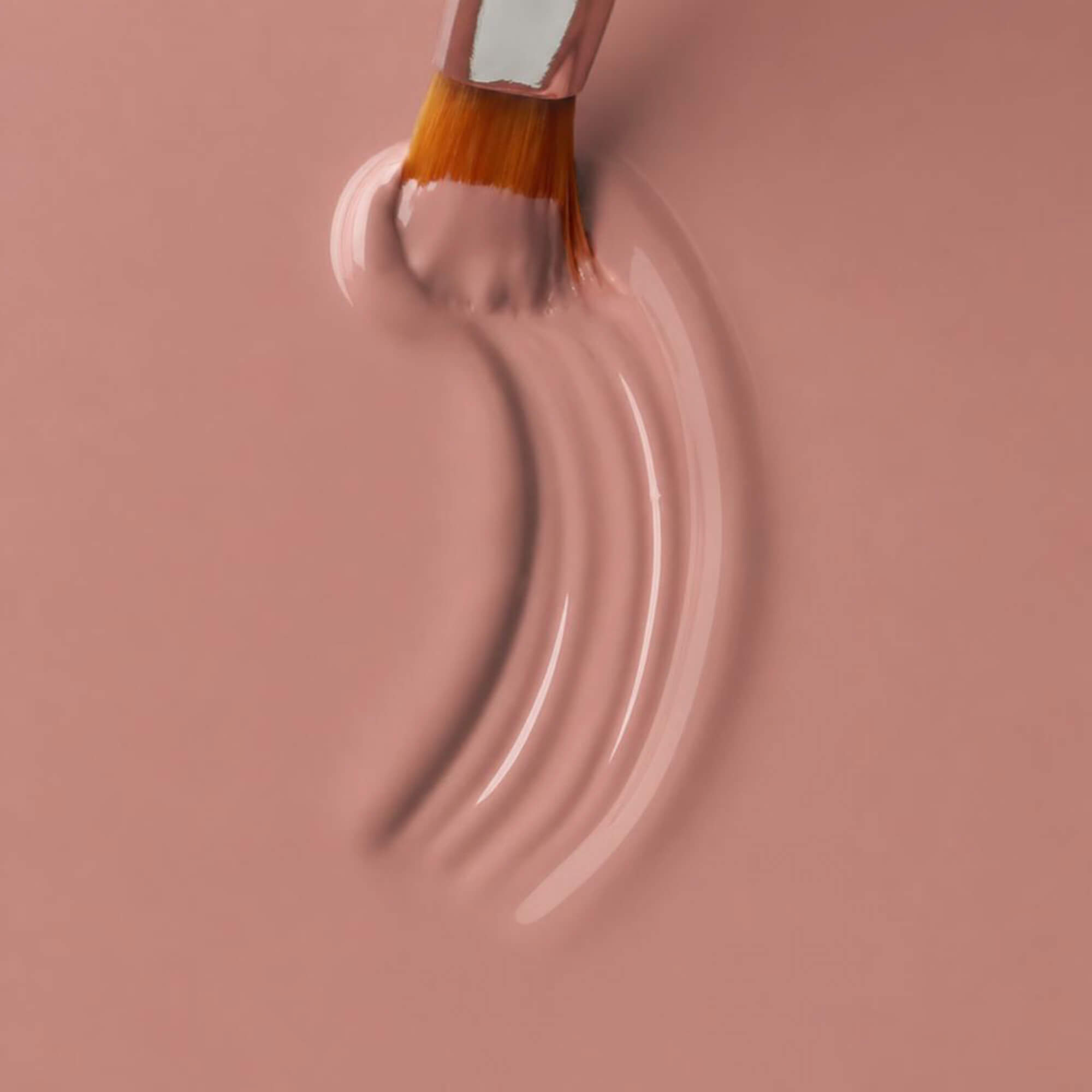 Color Gel Teddy Talk