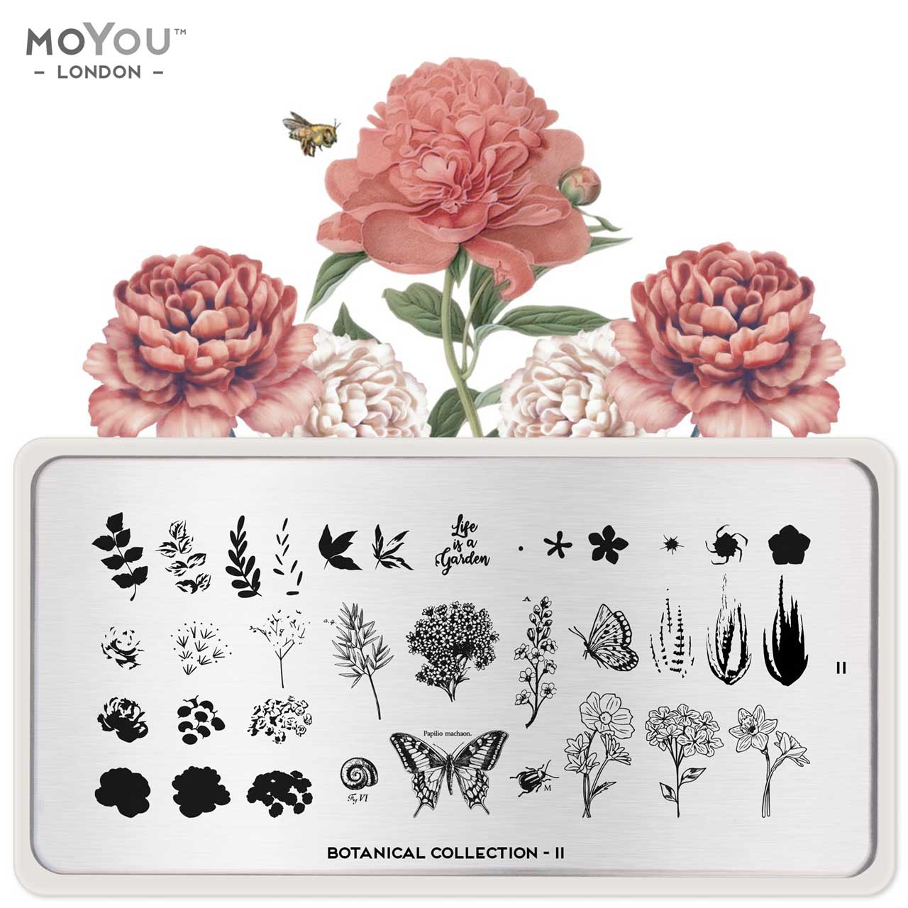 MoYou Stamping Botanical 11
